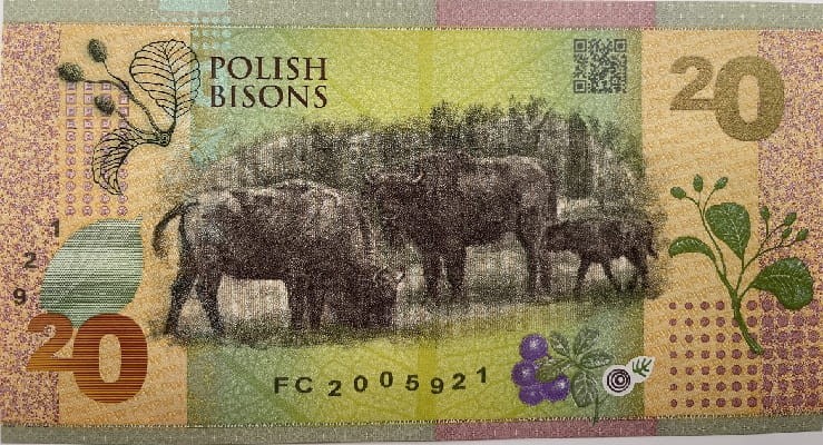 Polskie Żubry PWPW 2019 r. banknot testowy rewers