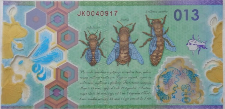 Pszczoła Miodna 013 PWPW 2013 banknot testowy rewers