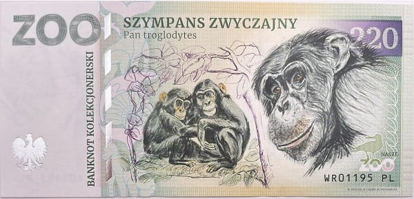 Banknot Szympans zwyczajny zoo Wrocław awers