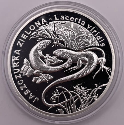 Moneta 20 zł Jaszczurka zielona 2009 r. rewers