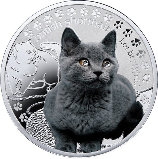 1 dolar koty brytyjskie Przyjaciele Człowieka 2014 r rewers box