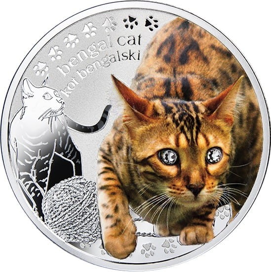 1 dolar kot bengalski Przyjaciele Człowieka 2014 r.
