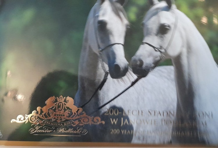 200_lecie_stadniny_koni_w_janowie_podlaski_folder_front_2017.jpg