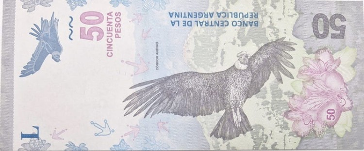 Argentyna banknot 50 pesos awers