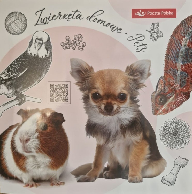 Folder Zwierzęta domowe 2025 275