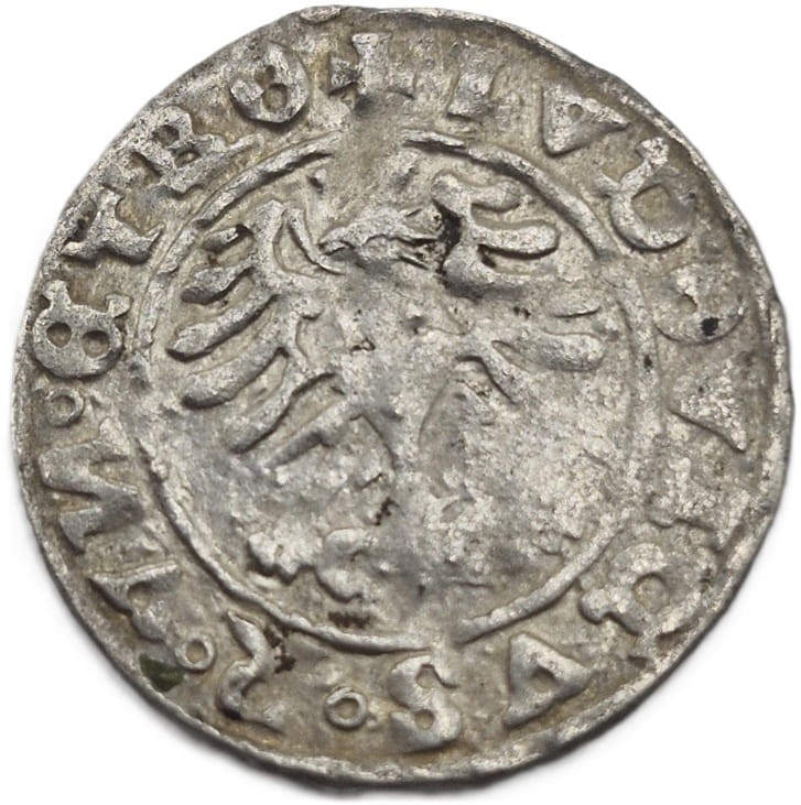 Moneta Półgrosz Aleksander Jagiellończyk 1502-1506 awers