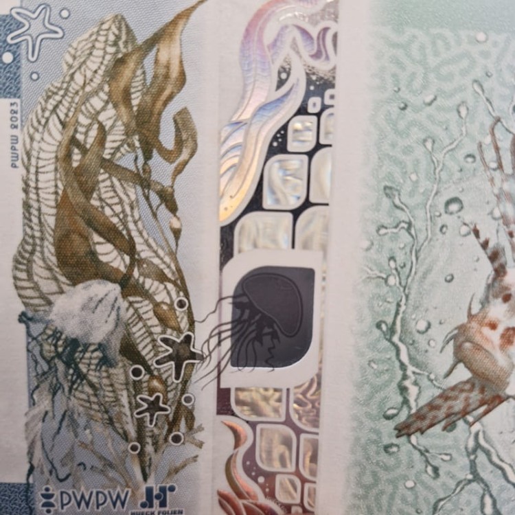 PWPW Coral banknot testowy