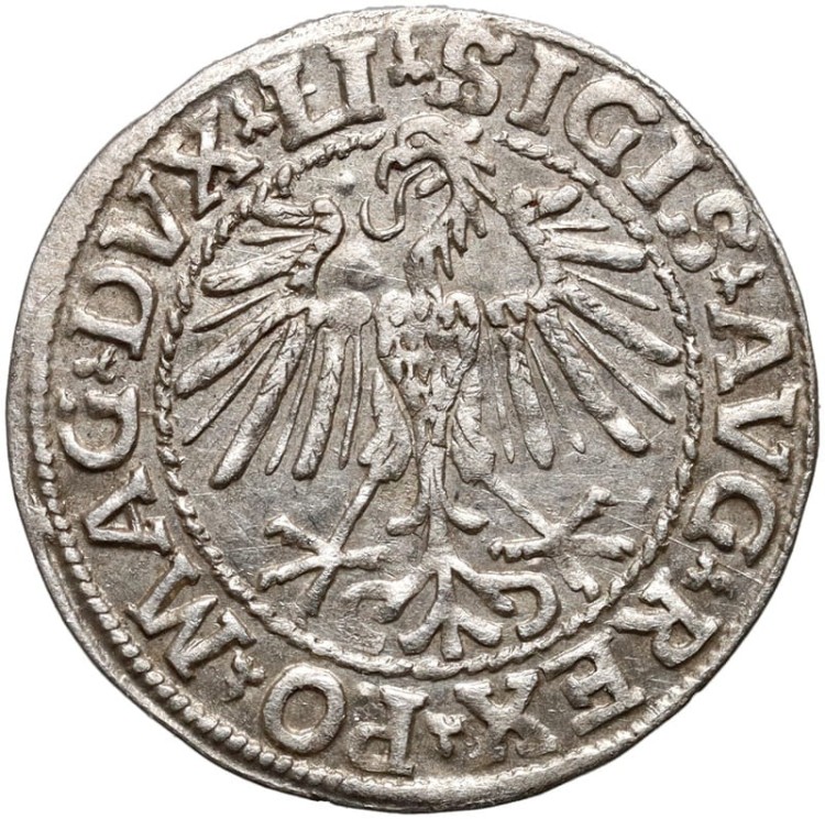 Moneta półgrosz 1548 Zygmunt II August Pogoń Wilno  rewers