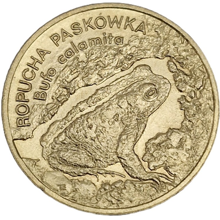 Moneta 2 zł Ropucha Paskówka 1998 rewers