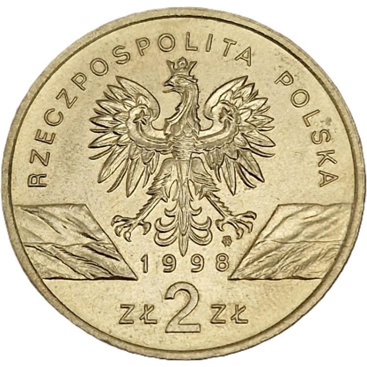 Moneta 2 zł Ropucha Paskówka 1998 awers
