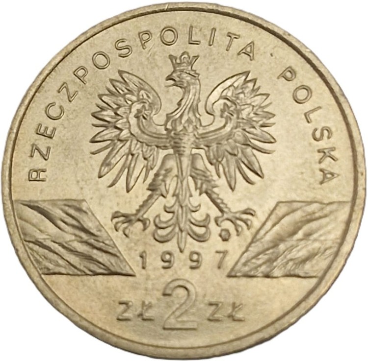 Moneta okolicznościowa 2 zł Jelonek Rogacz 1997 awers