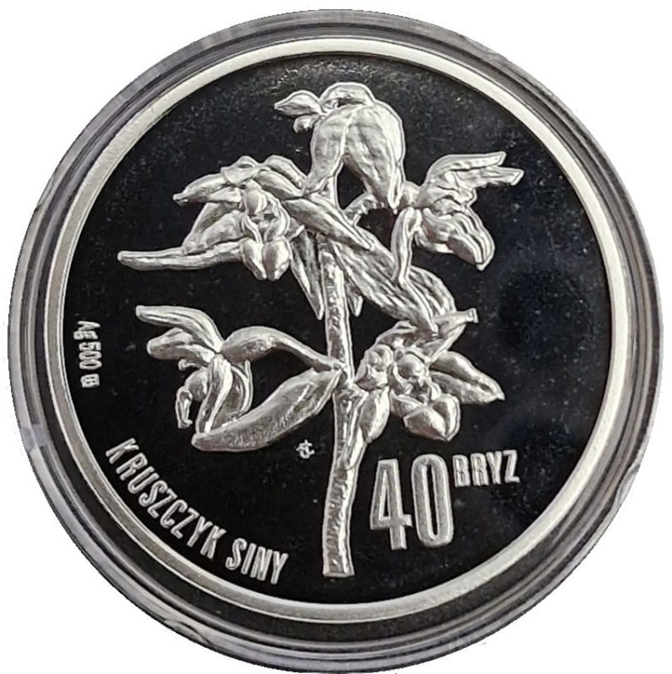 40 bryz 2008 Kruszczyk Siny rewers