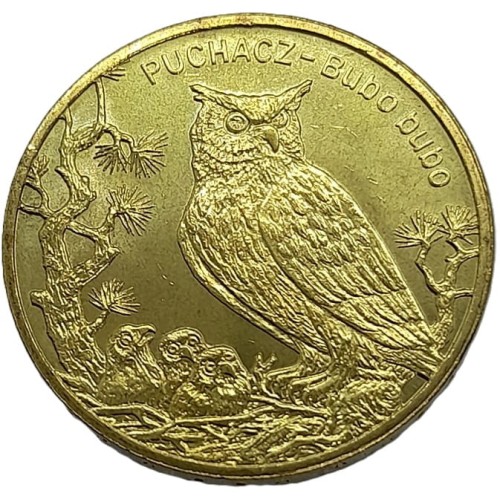 Moneta okolicznościowa 2 zł Puchacz 2005 rewers