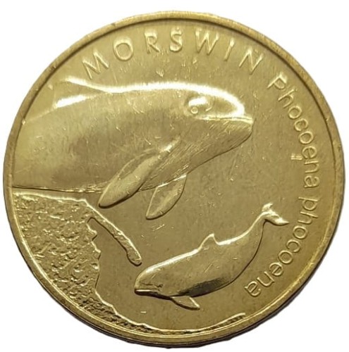 Moneta okolicznościowa 2 zł Morświn 2004 rewers