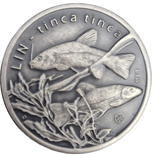 10 złotych rybek 2009 Sum rewers
