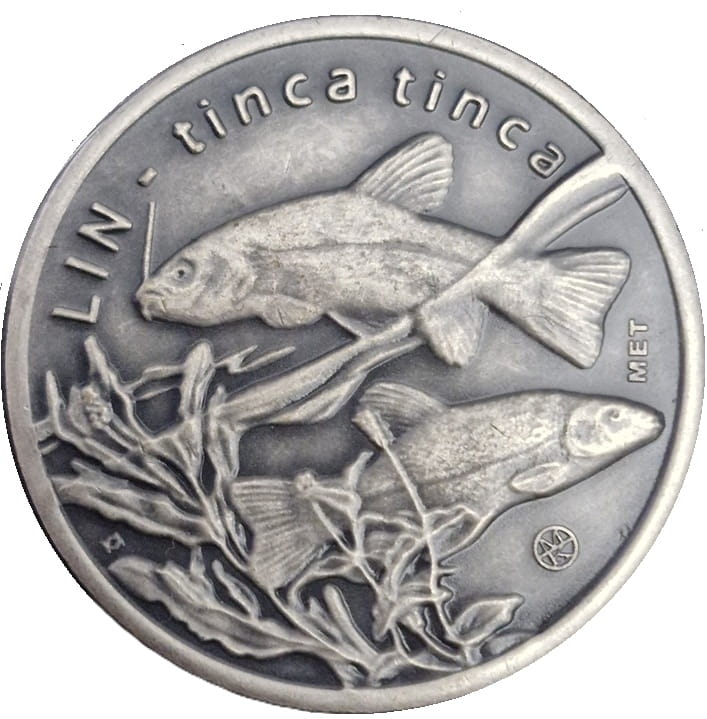 10 złotych rybek 2009 Sum rewers