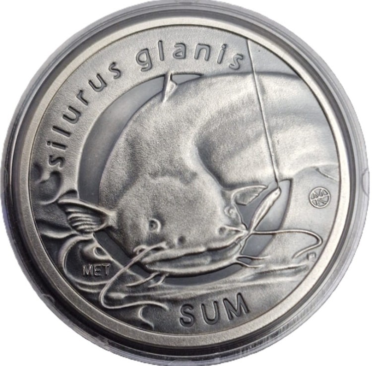 10 złotych rybek 2009 Sum rewers