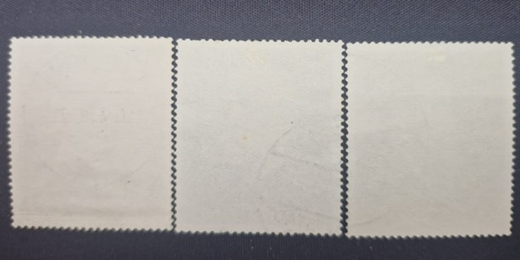 Znaczki Kongres lekarzy 1939 Fi. 304-306 tył