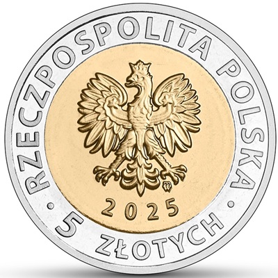 Moneta 5 zł Ratusz w Brzegu 2025 awers