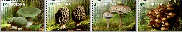 2012 znaczki grzyby